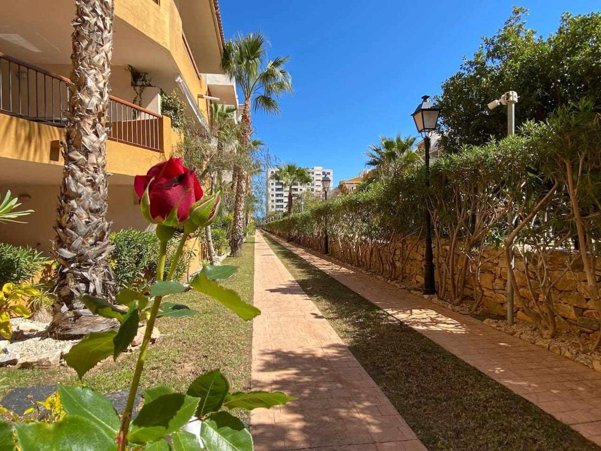 Acogedor Apartamento Al Lado De La Playa Alicante Exteriér fotografie